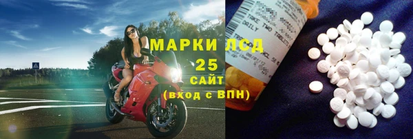 стаф Аркадак