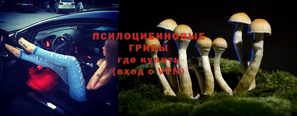 стаф Аркадак