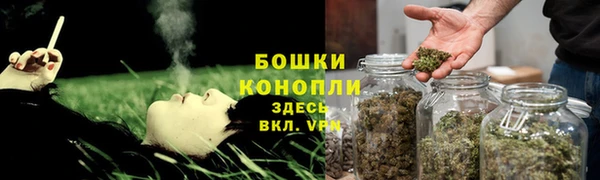 прущие грибы Балабаново