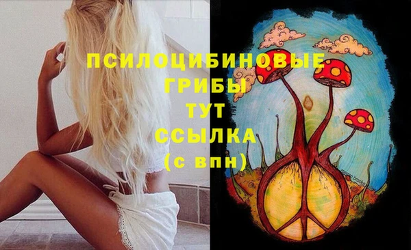 прущие грибы Балабаново