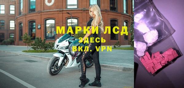 прущие грибы Балабаново