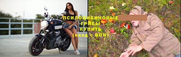 сатива Баксан